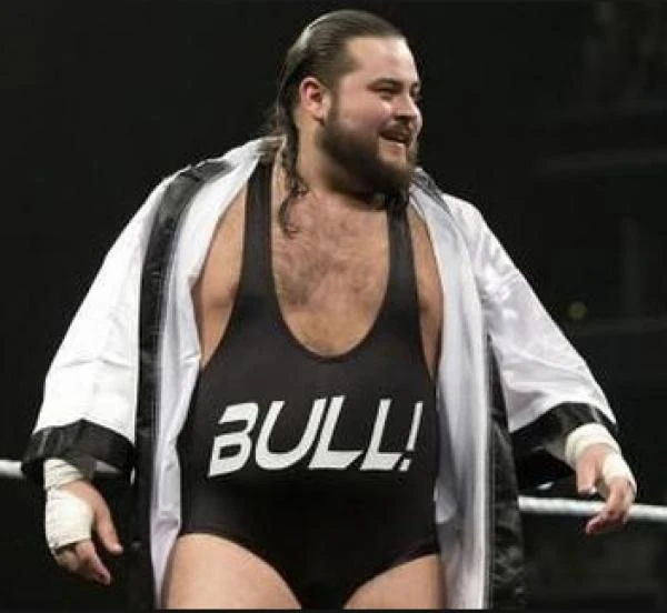 youtube wrestling figures heavyweight champion