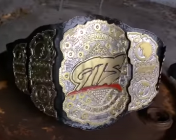 Gts wrestling toys cheap