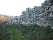 Area archeologica di Roselle 5