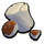 Кусок гриба