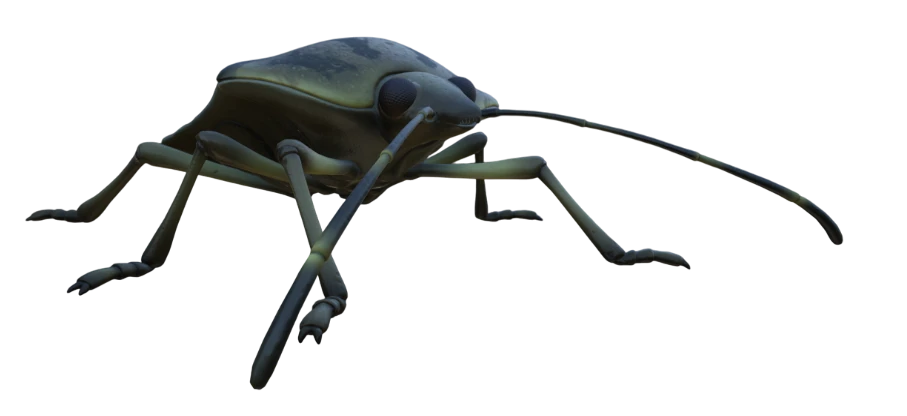 Stinkbug Grounded Wiki Fandom