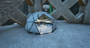 Koi Pond Field Station