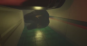 Mega Milk Molar Oak1