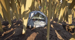 Stinkbug Field Station