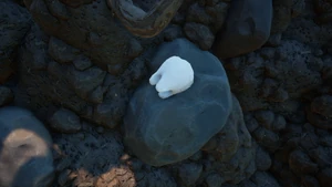 Milk Molar UpGrass7
