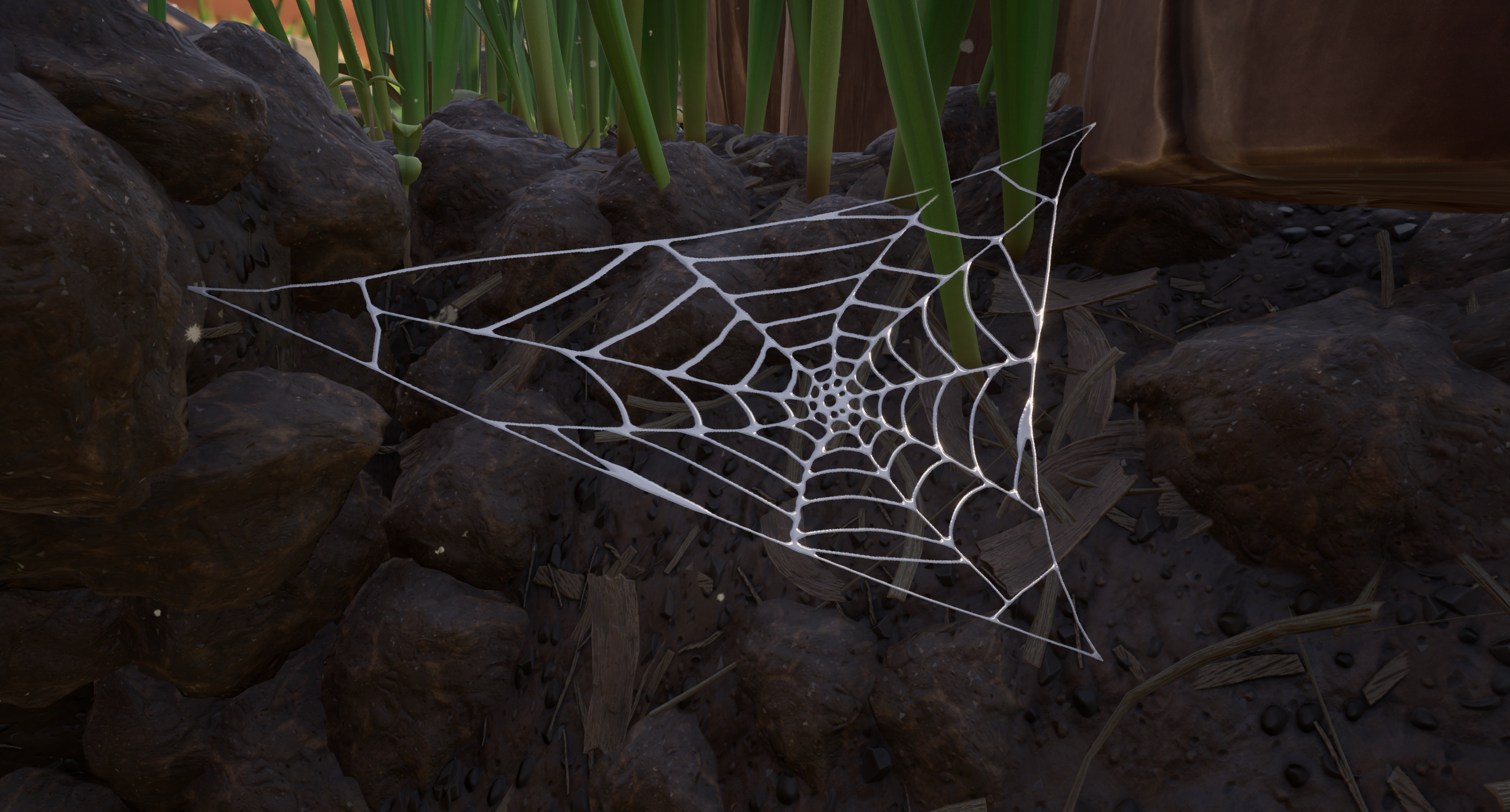 spider web