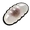 Black Ant Egg
