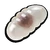 Black Ant Egg