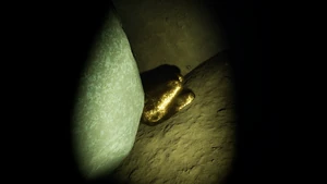 Mega Milk Molar Undershed4