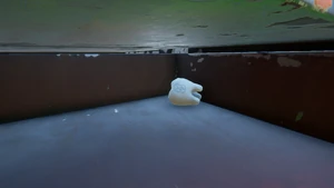 Milk Molar UpGrass4