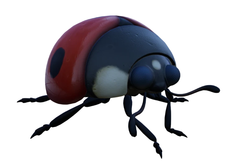 Ladybug Grounded Wiki Fandom