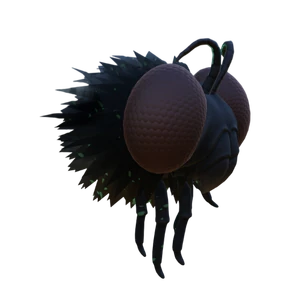 Meaty Gnat