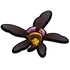 Wasp Queen Ceiling Fan