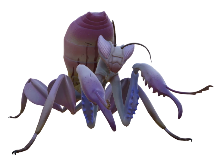 Mantis Grounded Wiki Fandom