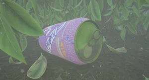 Fizzam Can (Chuberry)