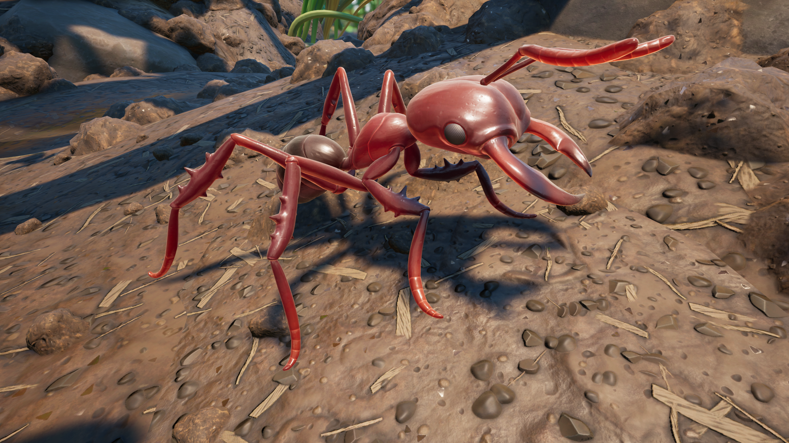 king fire ant