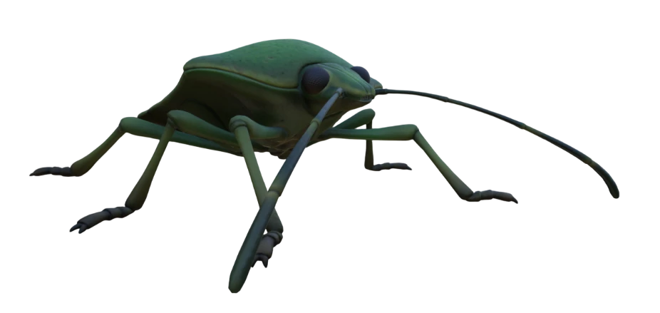 Green Shield Bug Grounded Wiki Fandom