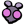 Pet Gnat