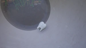 Milk Molar Picnic Table2