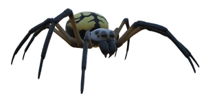 Orb Weaver Jr