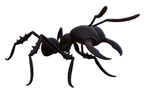 Red Soldier Ant