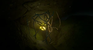 Mega Milk Molar PondDepths2