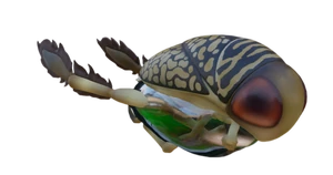 Water Boatman