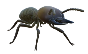 Termite Soldier