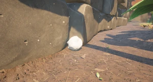 Milk Molar FlowerBed2
