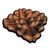 Pinecone Flat Roof