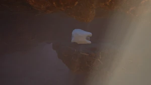 Milk Molar Ball Cave