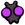 Pet Baby Black Ant