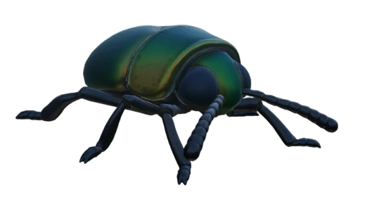 Scarab Grounded Wiki Fandom