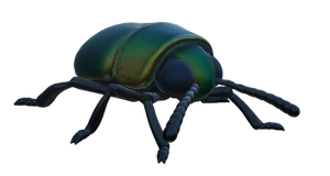 Scarab