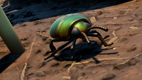 Scarab