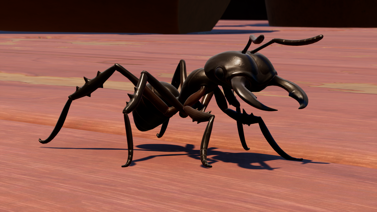 Муравей солдатик. Чёрный муравей солдат. Черный муравей для женщин.