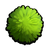 Algae.png