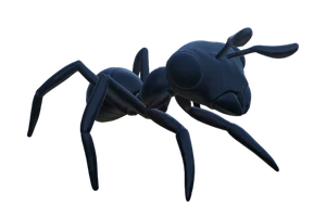 Baby Black Ant