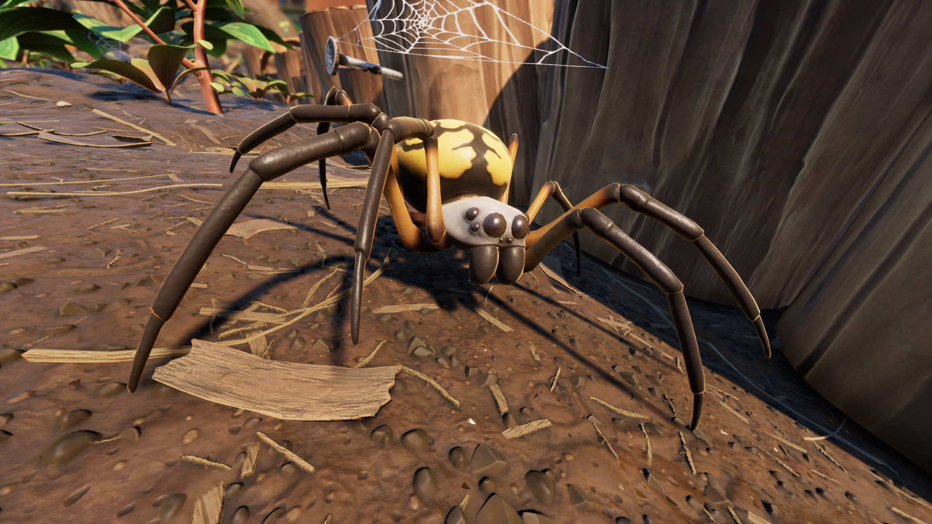 Orb Weaver Grounded Wiki Fandom