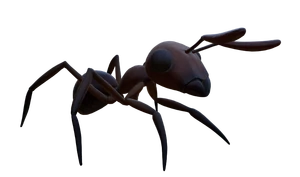 Red Worker Ant