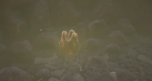 Mega Milk Molar Haze1