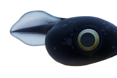 Aloe - Official Stranded Deep Wiki