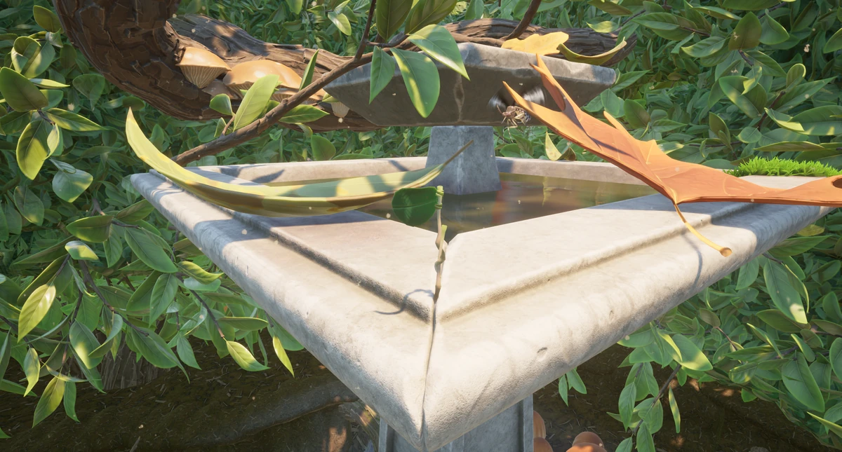 Bird Bath Bluff Grounded Wiki Fandom