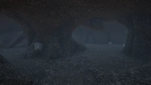 Antlion Burrow Picture