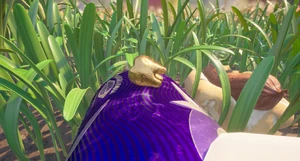 Mega Milk Molar Grass1