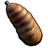 Pupa