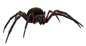 Diving Bell Spider