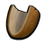 Acorn Shell.png
