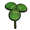 Clover