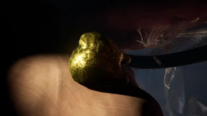 Mega Milk Molar Undershed2